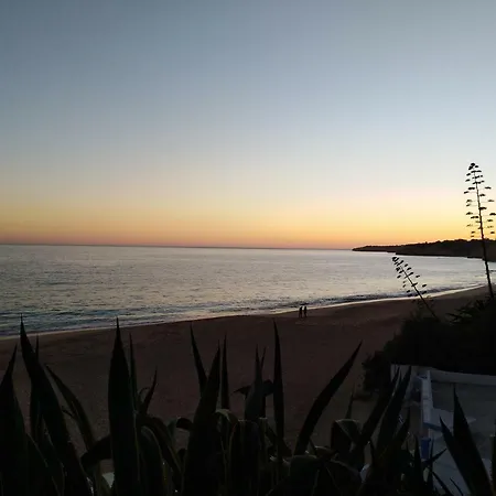 Olival Beach Апартаменты